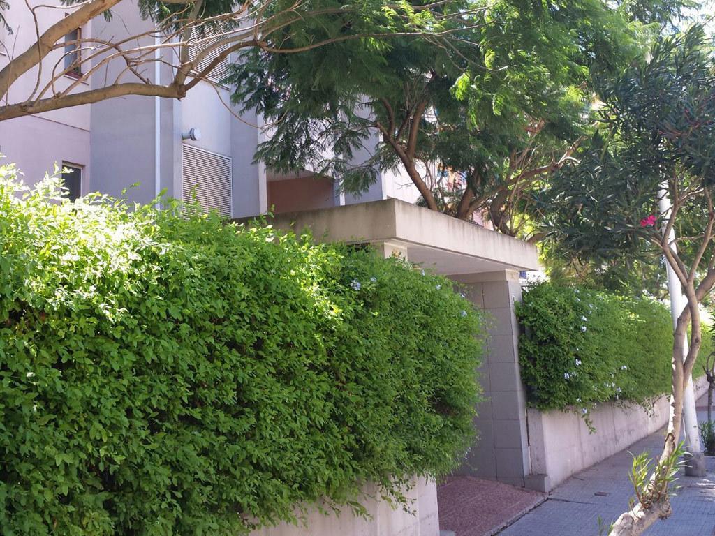 Bed and breakfast Mareya 2*